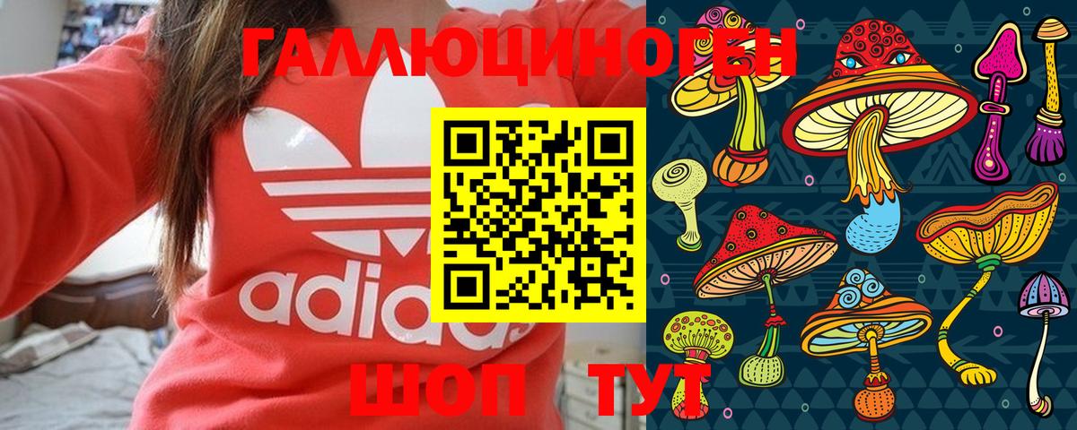 Мценск  Псилоцибиновые грибы прущие грибы  Вход с VPN 